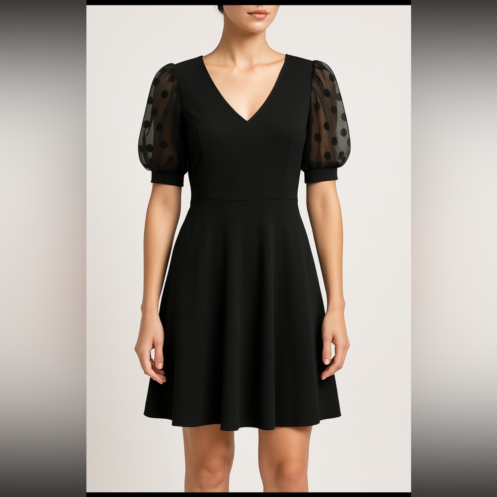 Black Polk A Dot Sleeve Dress